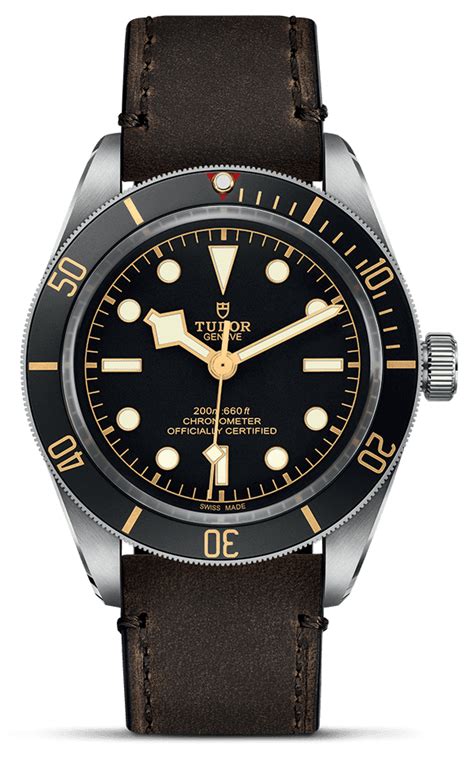 tudor black bay 58 m79030n-0002|tudor heritage black bay 79230.